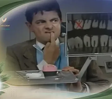 شماره دندان ها و تعداد دندان