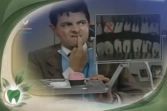 شماره دندان ها و تعداد دندان